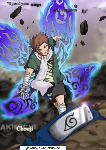 :wink2: chouji akimichi