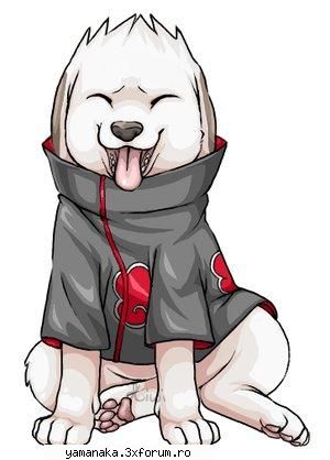 :nebun:  :nebun:  :nebun: kiba inuzuka si akamaru
