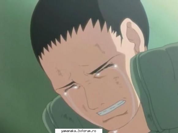 sensibil :nod: shikamaru nara